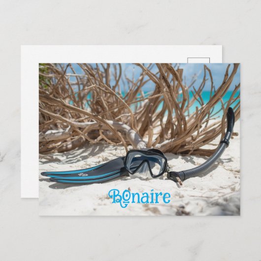 Bonaire divers paradise postkarte (Vorne/Hinten)