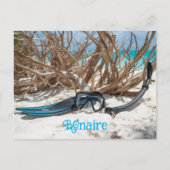 Bonaire divers paradise postkarte (Vorderseite)