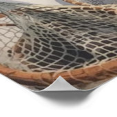 Bonaire fish shack poster (Ecke)