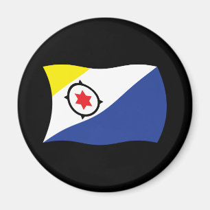Bonaire-Flagge-Magnet Magnet