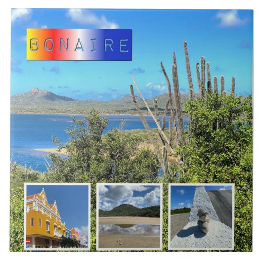 Bonaire Foto Collage Fliese (Vorderseite)