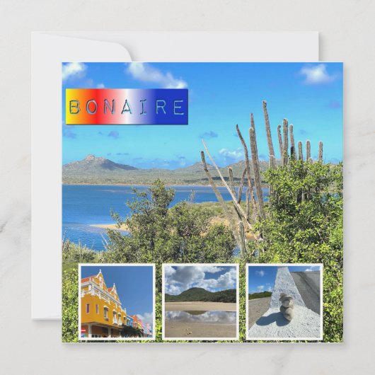 Bonaire Foto Collage Karte (Vorderseite)