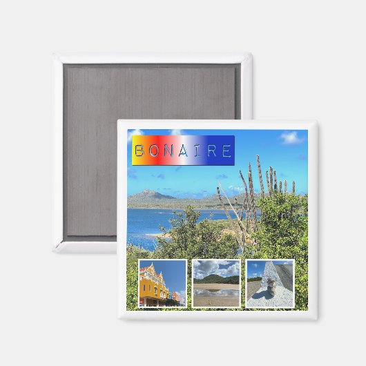 Bonaire Foto Collage Magnet (Vorderseite/Rückseite)