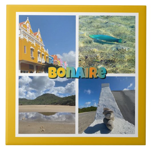 Bonaire Landschaftliche FotoCollage Fliese (Vorderseite)