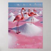 bonaire pink poster (Vorne)