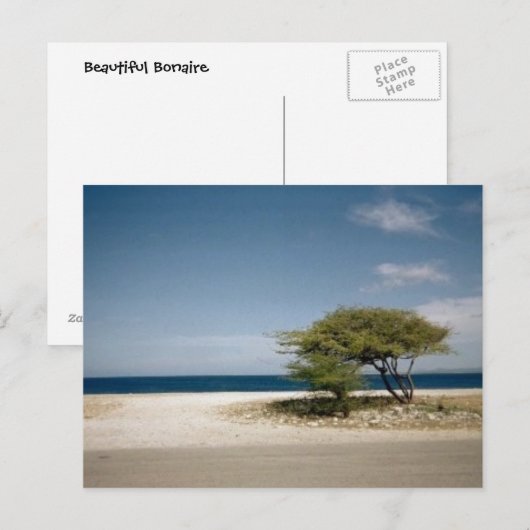 Bonaire Postkarte (Vorne/Hinten)