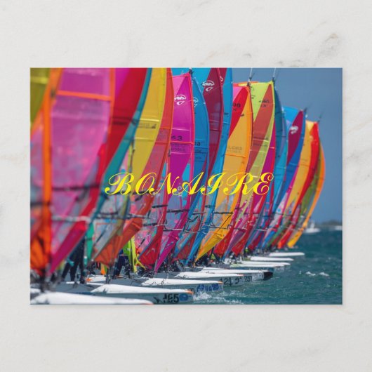 Bonaire Postkarte (Vorderseite)