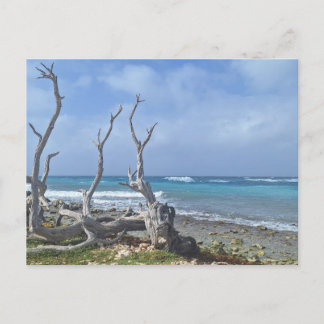 Bonaire Postkarte