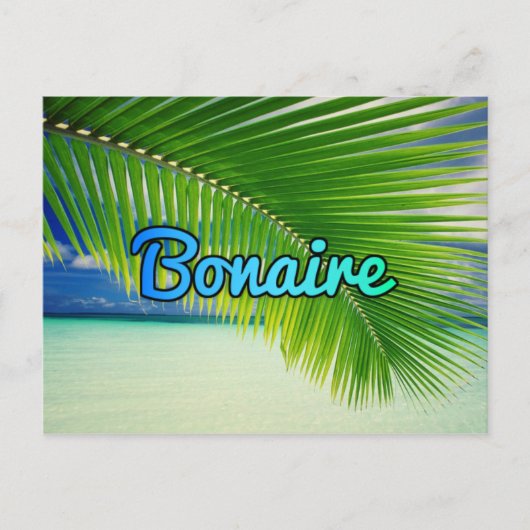 Bonaire Postkarte (Vorderseite)