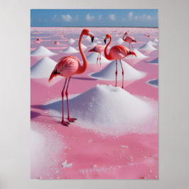 Bonaire Rosa Poster