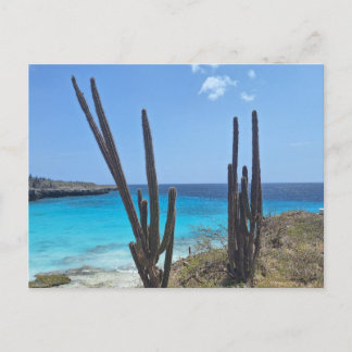 Bonaire Seaview Postkarte