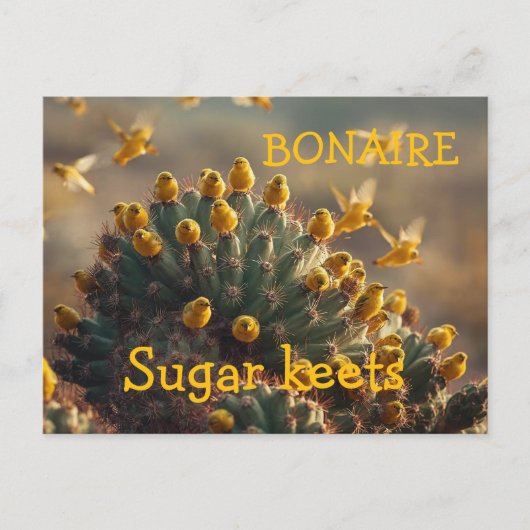 Bonaire sugarkeets postkarte (Vorderseite)