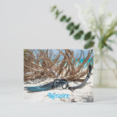 Bonaire Taucherparadies Postkarte (Stehend Vorderseite)