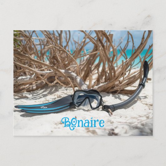Bonaire Taucherparadies Postkarte (Vorderseite)