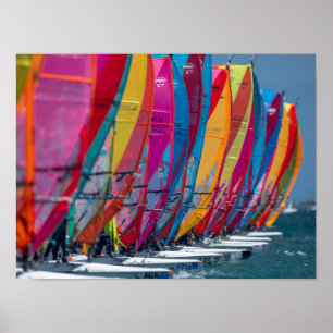 Bonaire-Windsurfer-Plakat Poster