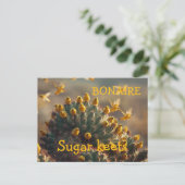 Bonaire Zuckervögel Postkarte (Stehend Vorderseite)