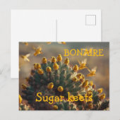 Bonaire Zuckervögel Postkarte (Vorne/Hinten)