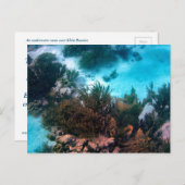 Bonairean Reef Custom Postkarte (Vorne/Hinten)