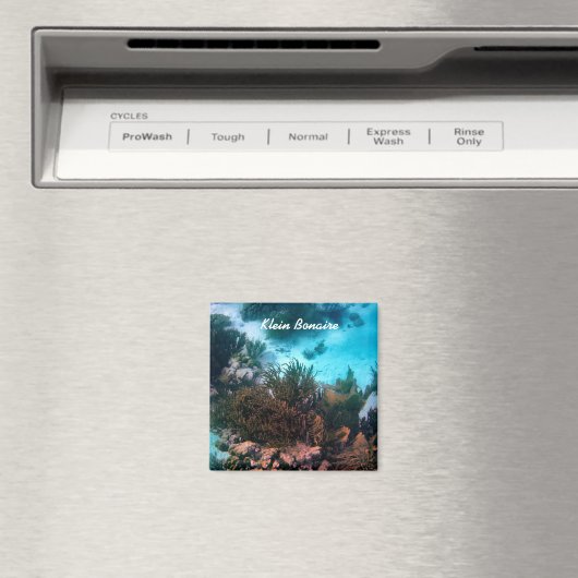 Bonairean Reef Magnet (In Situ (Geschirrspüler))