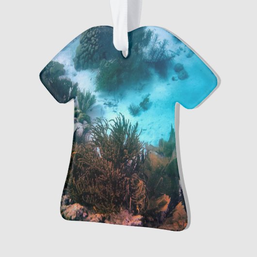 Bonairean Riff Ornament (Vorderseite)