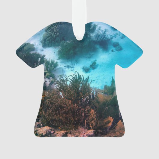 Bonairean Riff Ornament (Rückseite)