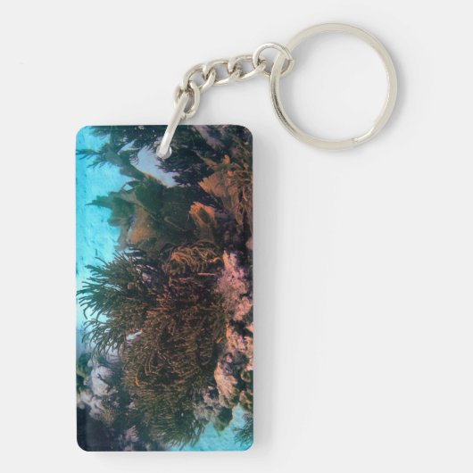 Bonairean Riff Schlüsselanhänger (Rückseite)