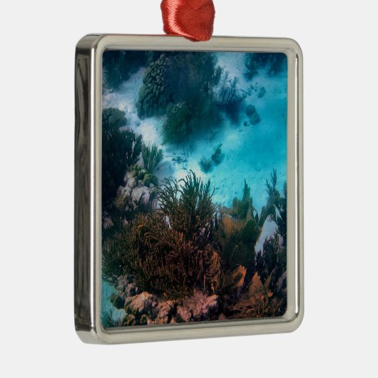 Bonairean Riff Silbernes Ornament (Rechts)