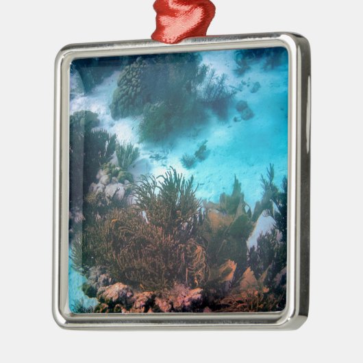 Bonairean Riff Silbernes Ornament (Links)