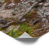 Bonanza Falls Poster (Ecke)