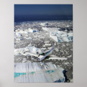 Bonanza über Grönland Poster (Vorne)