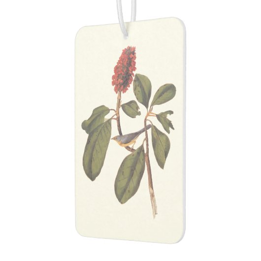 Bonaparte Flycatcher Canada Warbler Audubon Bird Autolufterfrischer (Links)