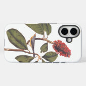 Bonaparte Flycatcher Canada Warbler Audubon Bird Case-Mate iPhone Hülle (Rückseite (Horizontal))