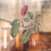 Bonaparte Flycatcher Canada Warbler Audubon Bird Fensteraufkleber (Blatt 2)