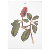 Bonaparte Flycatcher Canada Warbler Audubon Bird Klemmbrett (Rückseite)