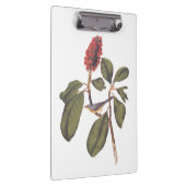 Bonaparte Flycatcher Canada Warbler Audubon Bird Klemmbrett (Rechts)