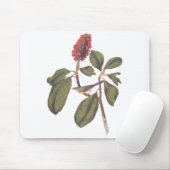 Bonaparte Flycatcher Canada Warbler Audubon Bird Mousepad (Mit Mouse)