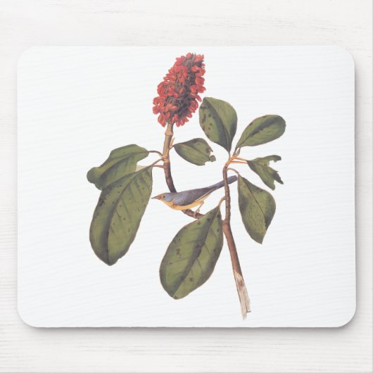 Bonaparte Flycatcher Canada Warbler Audubon Bird Mousepad (Vorne)