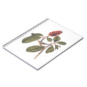 Bonaparte Flycatcher Canada Warbler Audubon Bird Notizblock (Linke Seite)