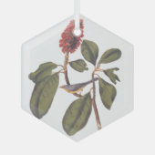 Bonaparte Flycatcher Canada Warbler Audubon Bird Ornament Aus Glas (Vorderseite)