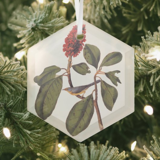 Bonaparte Flycatcher Canada Warbler Audubon Bird Ornament Aus Glas (Insitu)