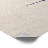 Bonaparte's Gull Seagull am Strand Farbe 16x20 Poster (Ecke)