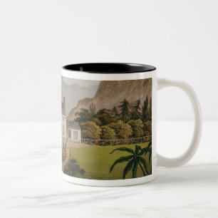Bonapartes Mal-Maison bei St. Helena, 1821 Zweifarbige Tasse