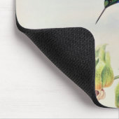 Bonapartes Stern konfrontierte den Kolibri Mousepad (Ecke)