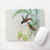 Bonapartes Stern konfrontierte den Kolibri Mousepad (Mit Mouse)