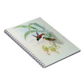 Bonapartes Stern konfrontierte den Kolibri Notizblock (Rechte Seite)