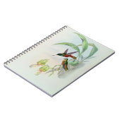 Bonapartes Stern konfrontierte den Kolibri Notizblock (Linke Seite)