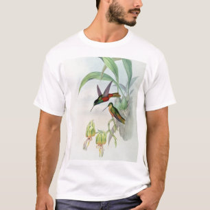 Bonapartes Stern konfrontierte den Kolibri T-Shirt
