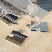 Bonapartian Gull von Vögeln in Amerika Puzzle (Seite)