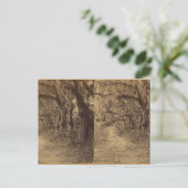 Bonaventura Friedhof, Savannah, Ga. c) 1863 Postkarte (Stehend Vorderseite)