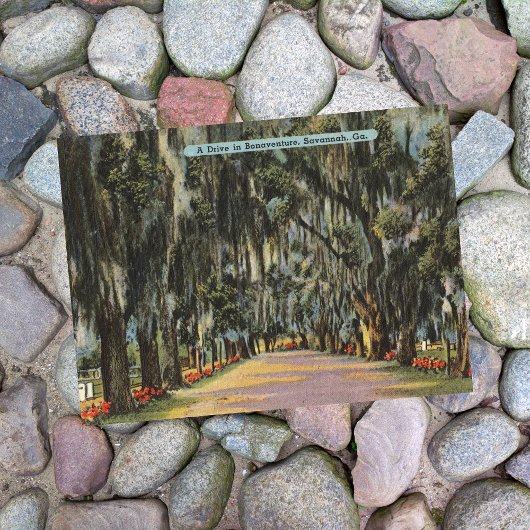 Bonaventure Drive Savannah GA Retro Postkarte